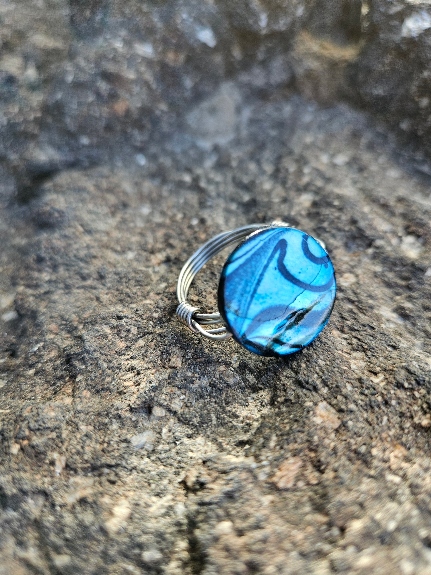 Shell Disk in Stainless Steel Wire Wrapped Ring